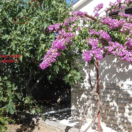 Dom wakacyjny House Mia Ražanj