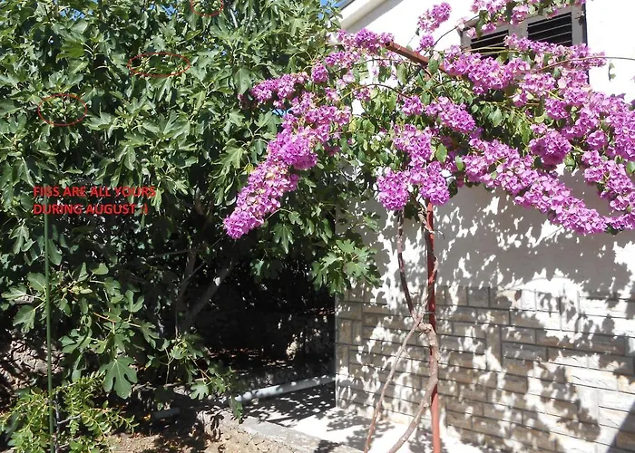 בית נופש House Mia Ražanj